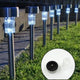 Solar LED Spike Lights for Garden & Pathway Decor (2 Pc Set)