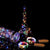 Indoor Outdoor LED Fairy Light String