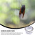 Self-Adhesive Mosquito Net Repair Tape – 2M x 5CM Roll – 1 Pc