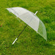 Curved Handle Umbrella