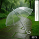 Transparent Umbrella