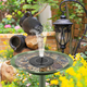 High-Quality Outdoor Solar Water Fountain
